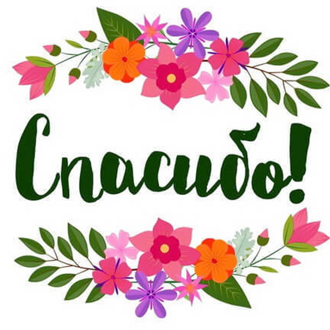 Отзывы. Фотограф Алёна Финашова