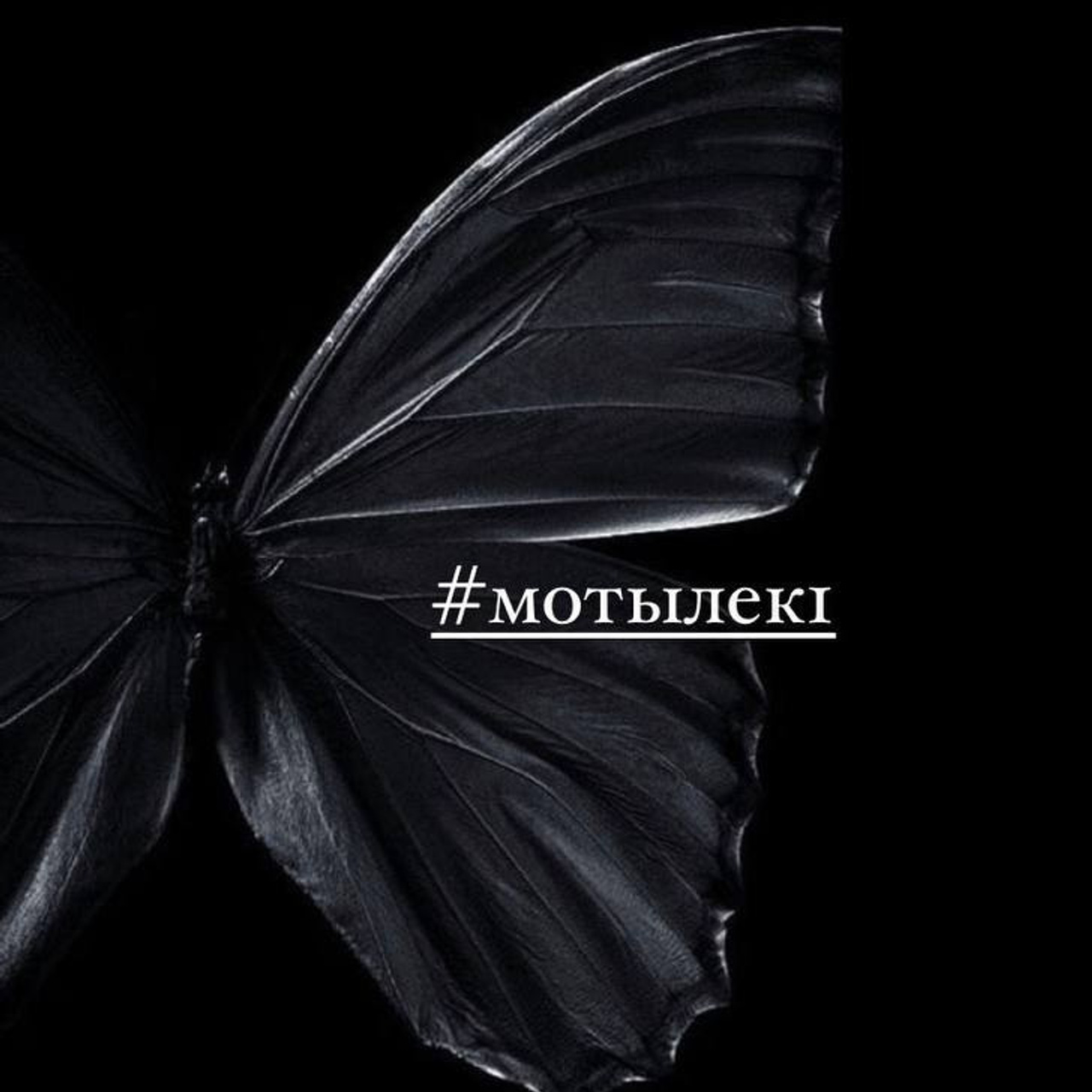 Отзывы. Kris geimor фотограф