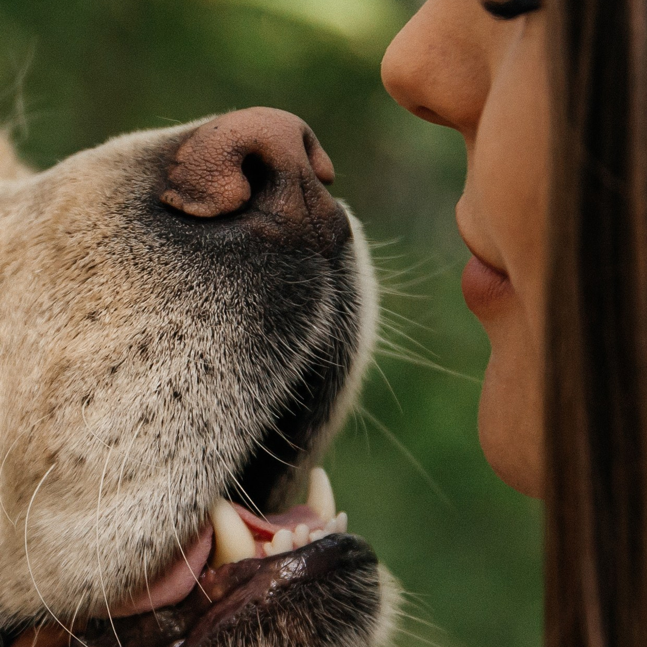 Отзывы. Натали Христолюбова