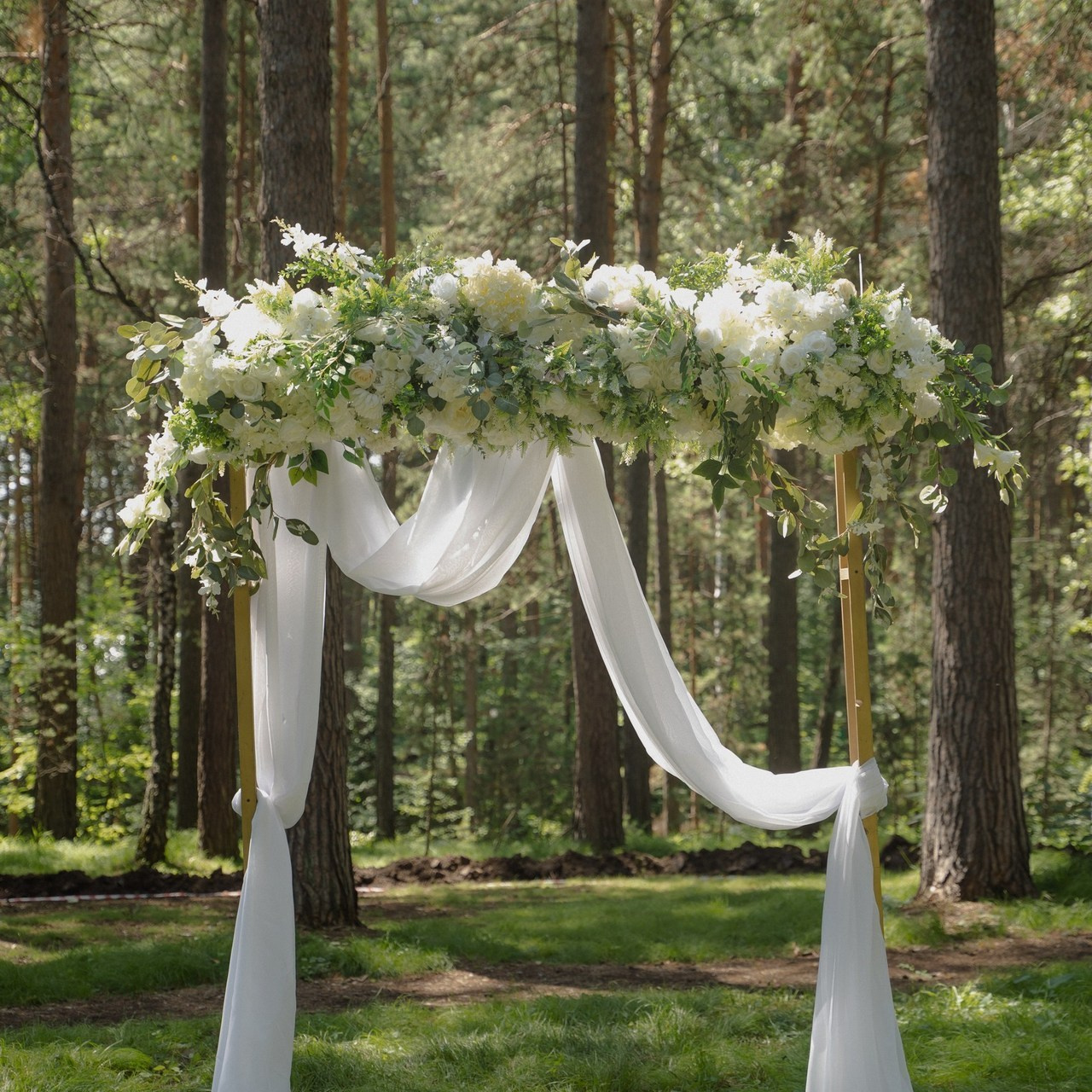 Отзывы. Фотограф Аля Овчарова