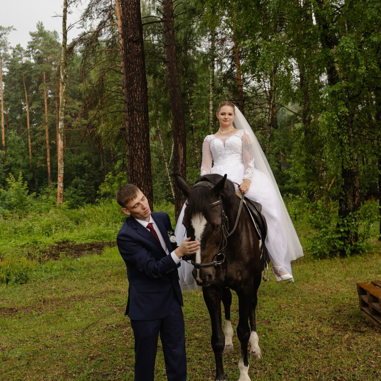 Отзывы. Фотограф Аля Овчарова