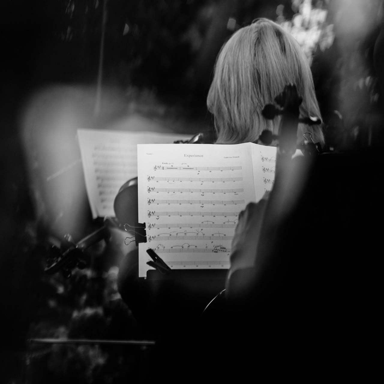 Отзывы. Саша Копылов, фотограф в Казани