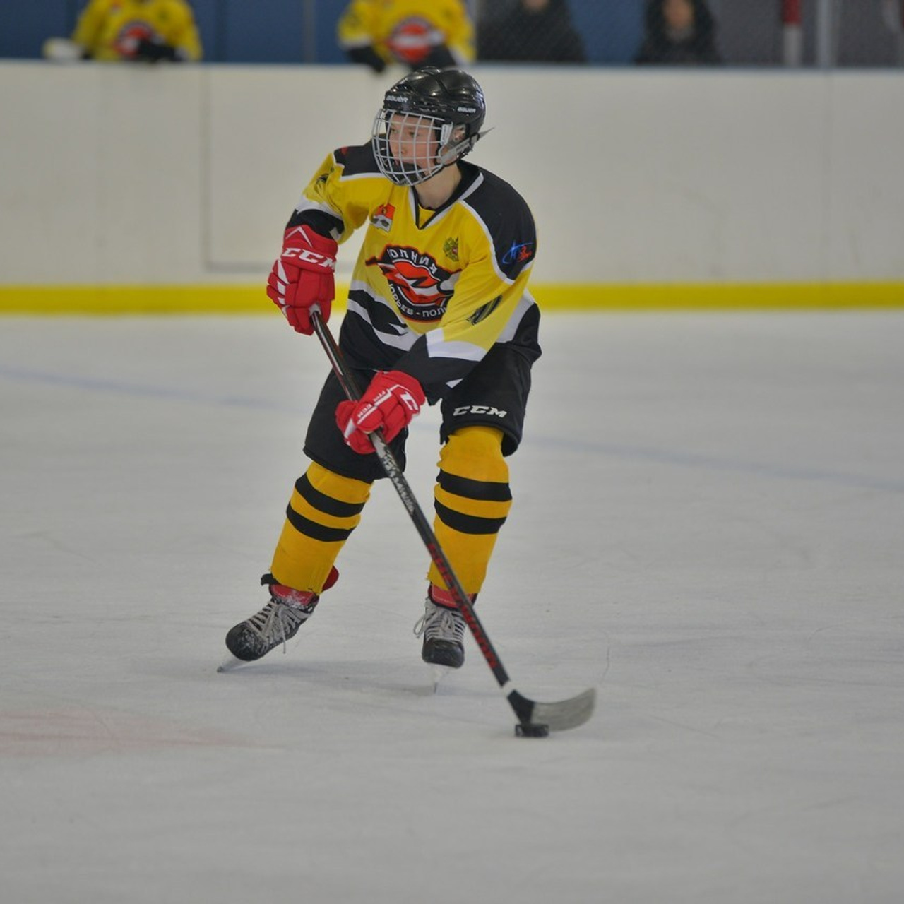 Отзывы. Фотограф в Юрьев-Польском. Владимире и области. Крышковец Владимир