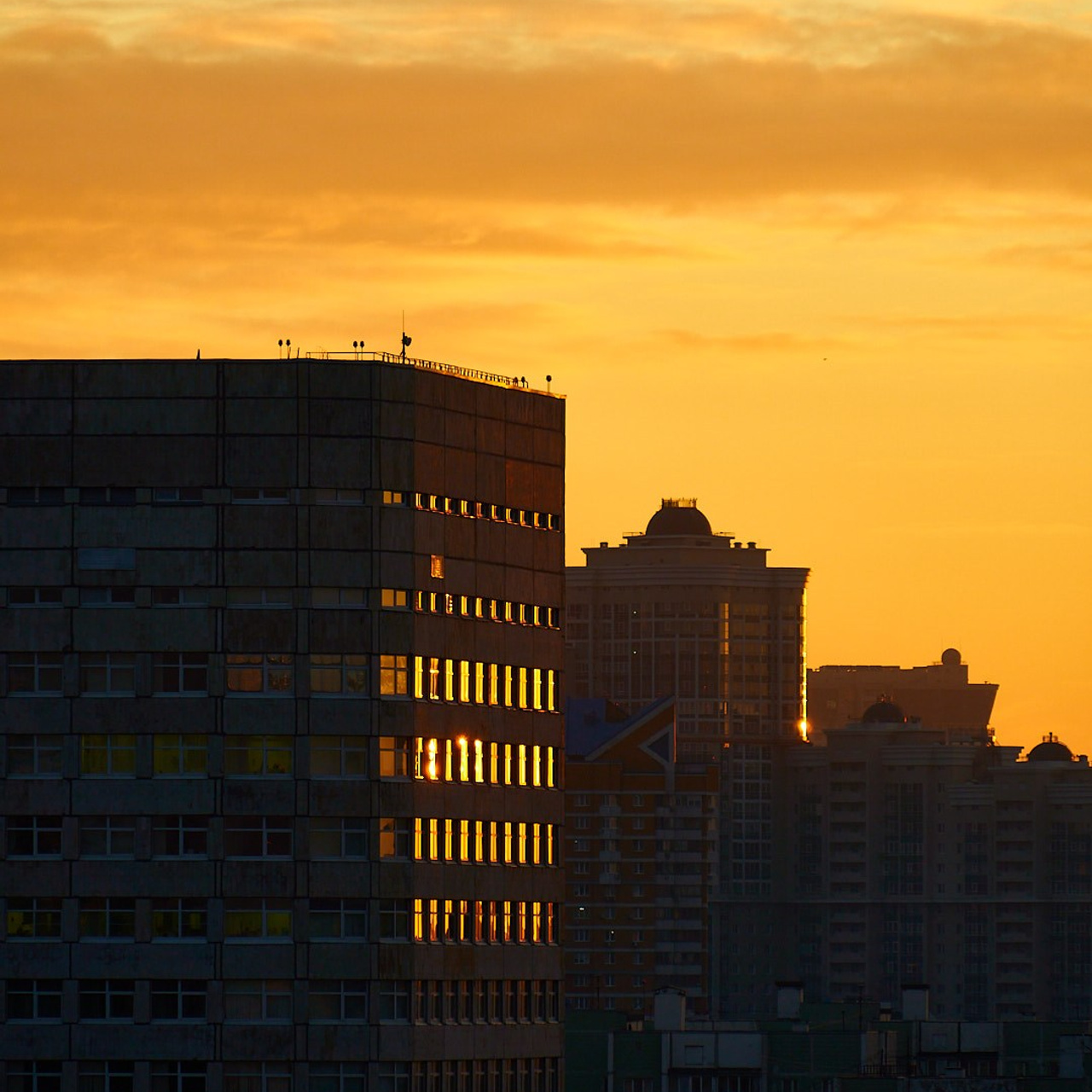 CITYSTETICA. Эльджан — Продюсер, Фотограф, El u Del