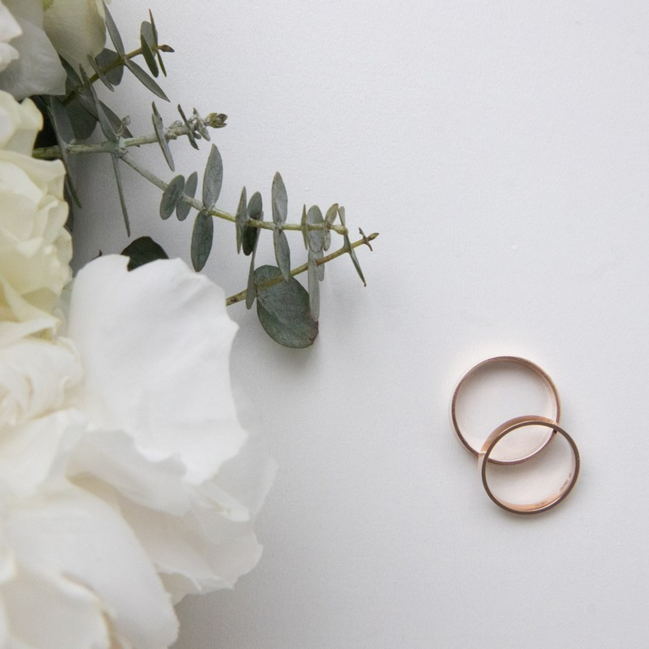 Отзывы. Портретный Фотограф в Калининграде Николай Бибиков