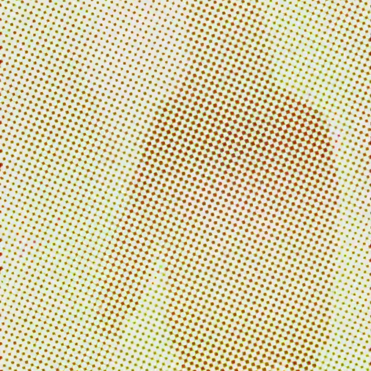 Имиджевая съемка. Cntrlmark — videographer and editor in Novosibirsk