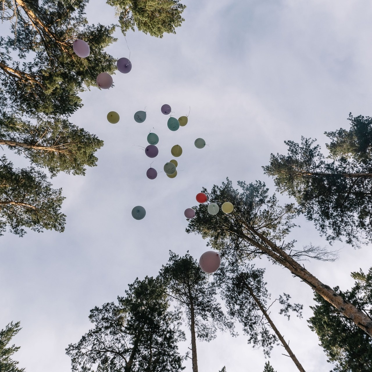 Отзывы. Репортажный фотограф в Новосибирске
