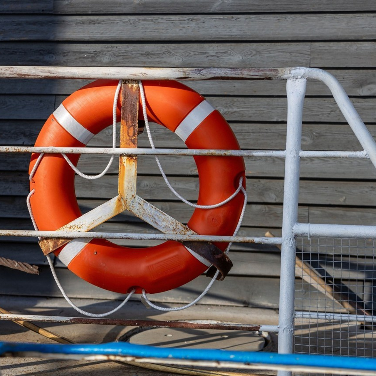 Отзывы. Репортажный фотограф в Новосибирске