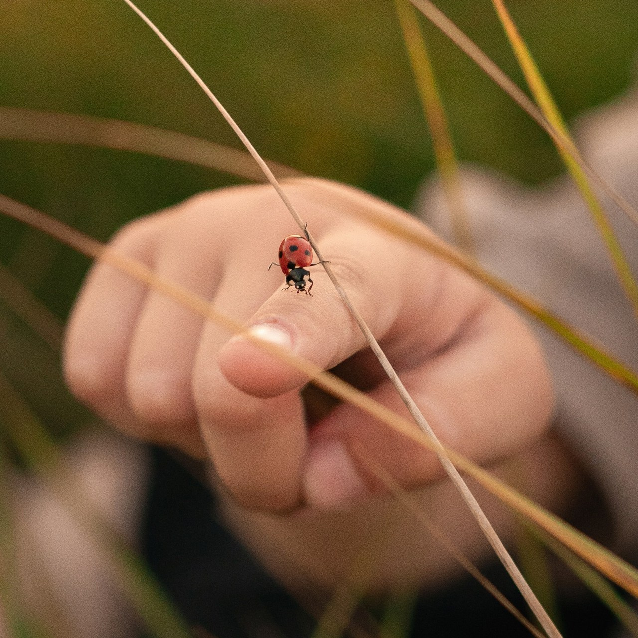 Отзывы. Фотограф Благовещенск Анна Емельянова