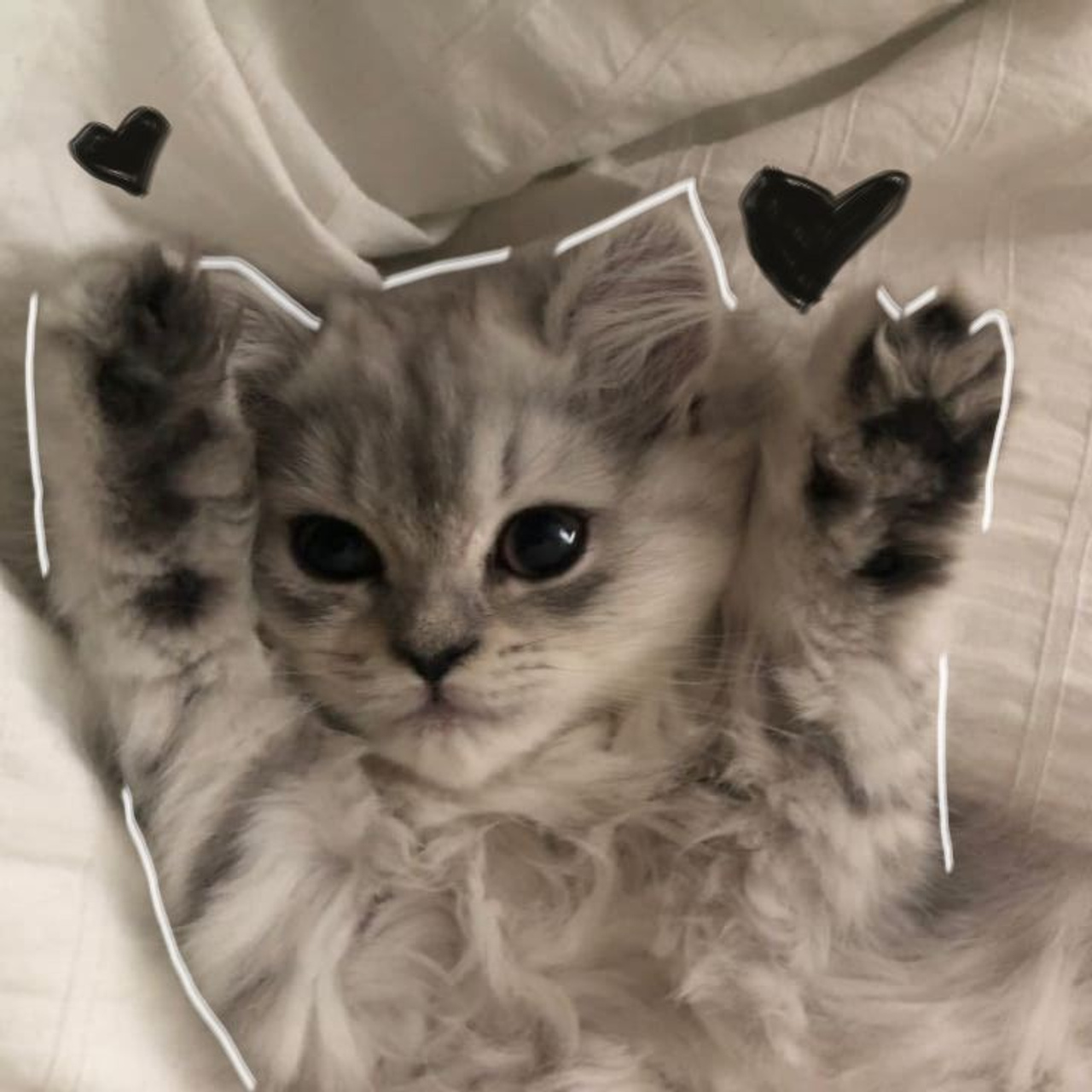 МАСТЕРСКАЯ «КОРОБКА» БАЛАШИХА