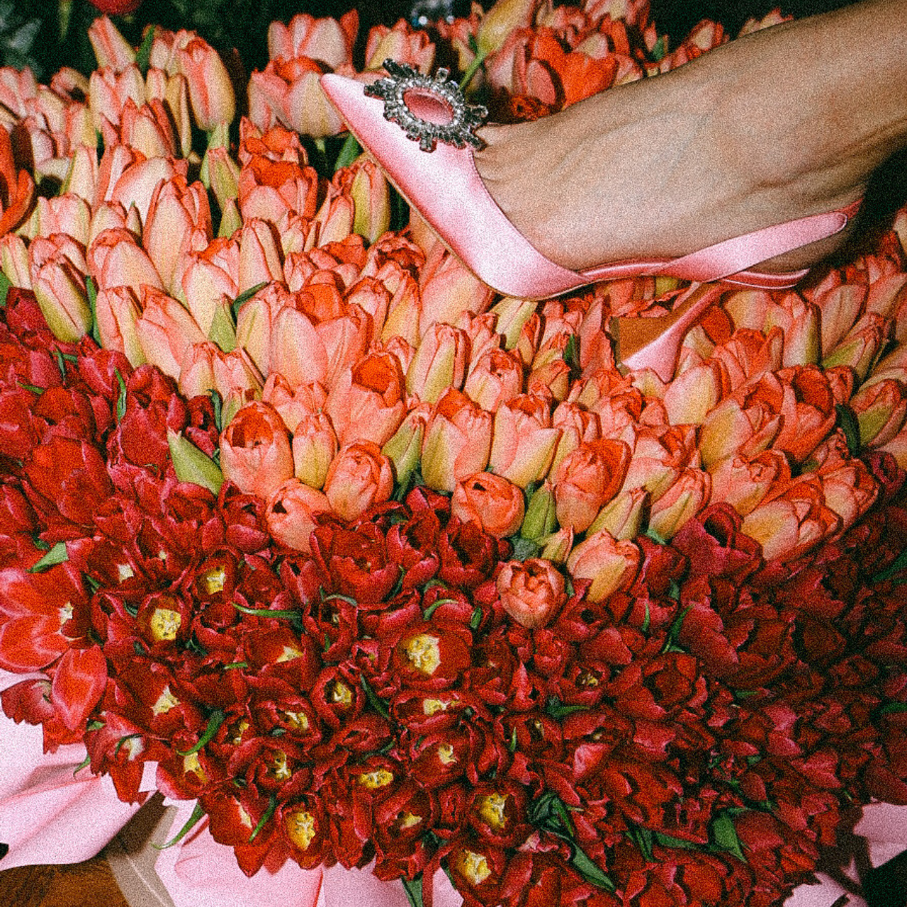 Женя и Света. Фотограф Нижний Новгород