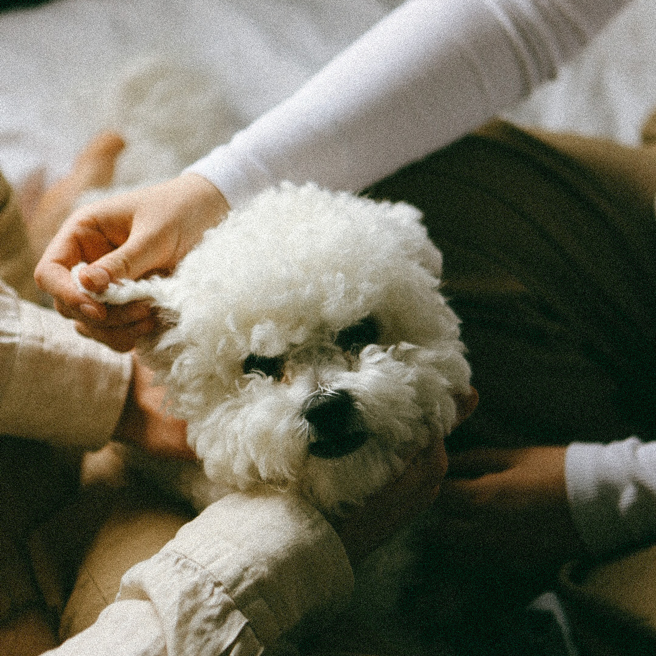 Ваня и Аня. Фотограф Нижний Новгород