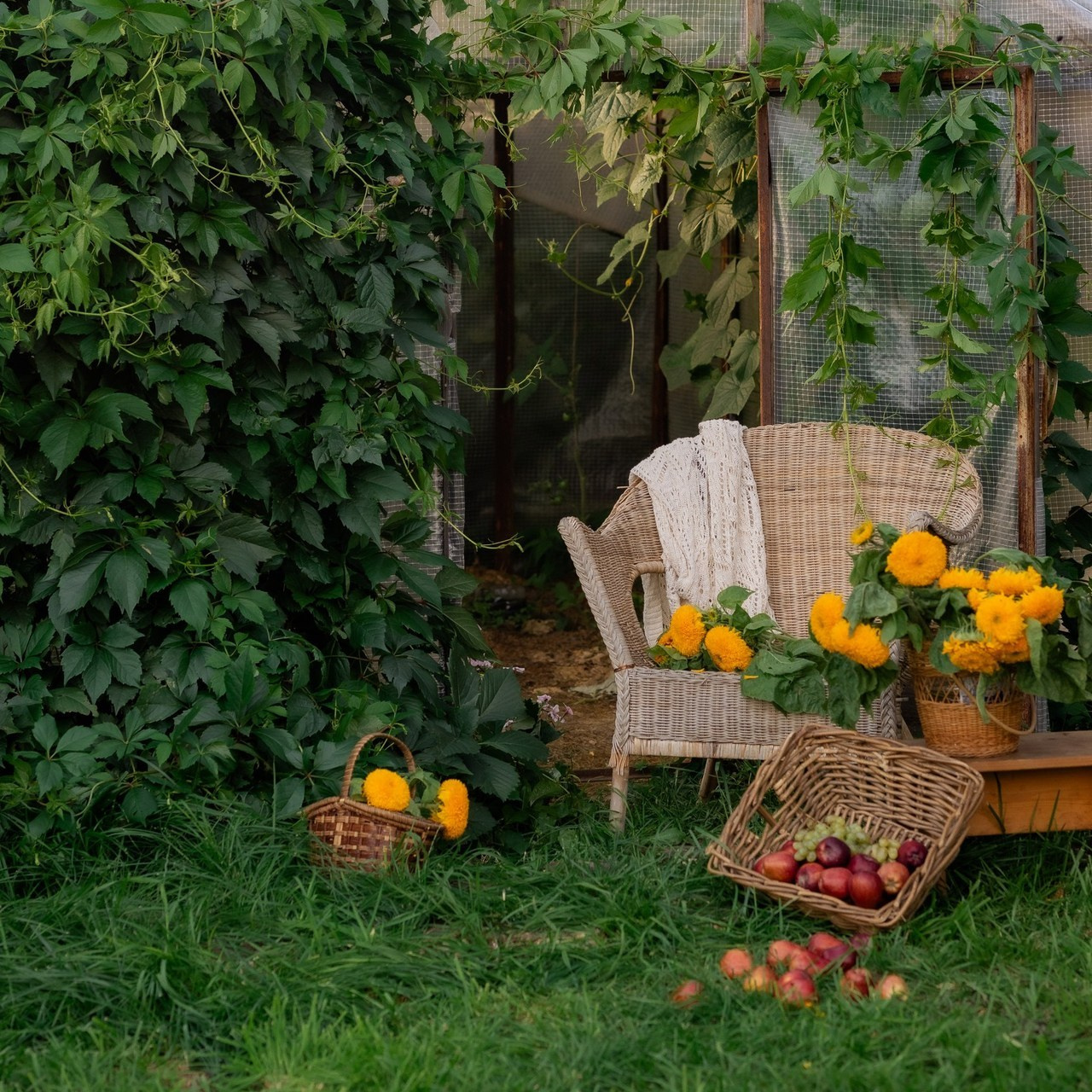 Отзывы. Фотограф в Тобольске Елена Лобакова