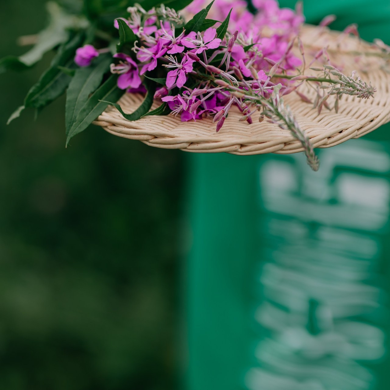 Отзывы. Фотограф в Тобольске Елена Лобакова