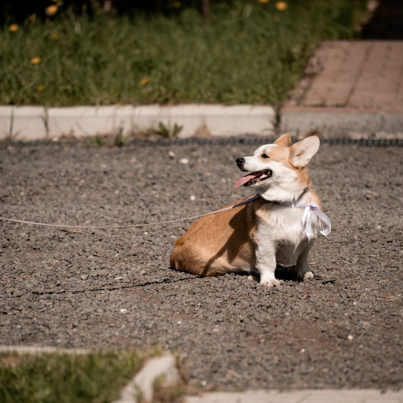 Отзывы о фотограе Евгении Тимощенко. Свадебный и семейный фотограф в Москве и Европе Евгения Амелина