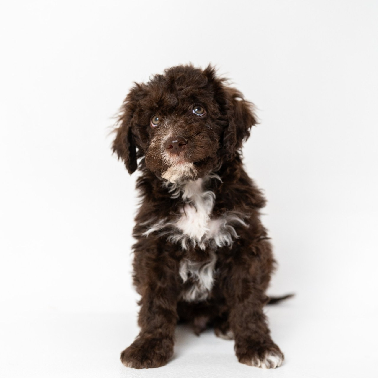 Отзывы. Детский и семейный фотограф в Краснодаре Анастасия Blumberry