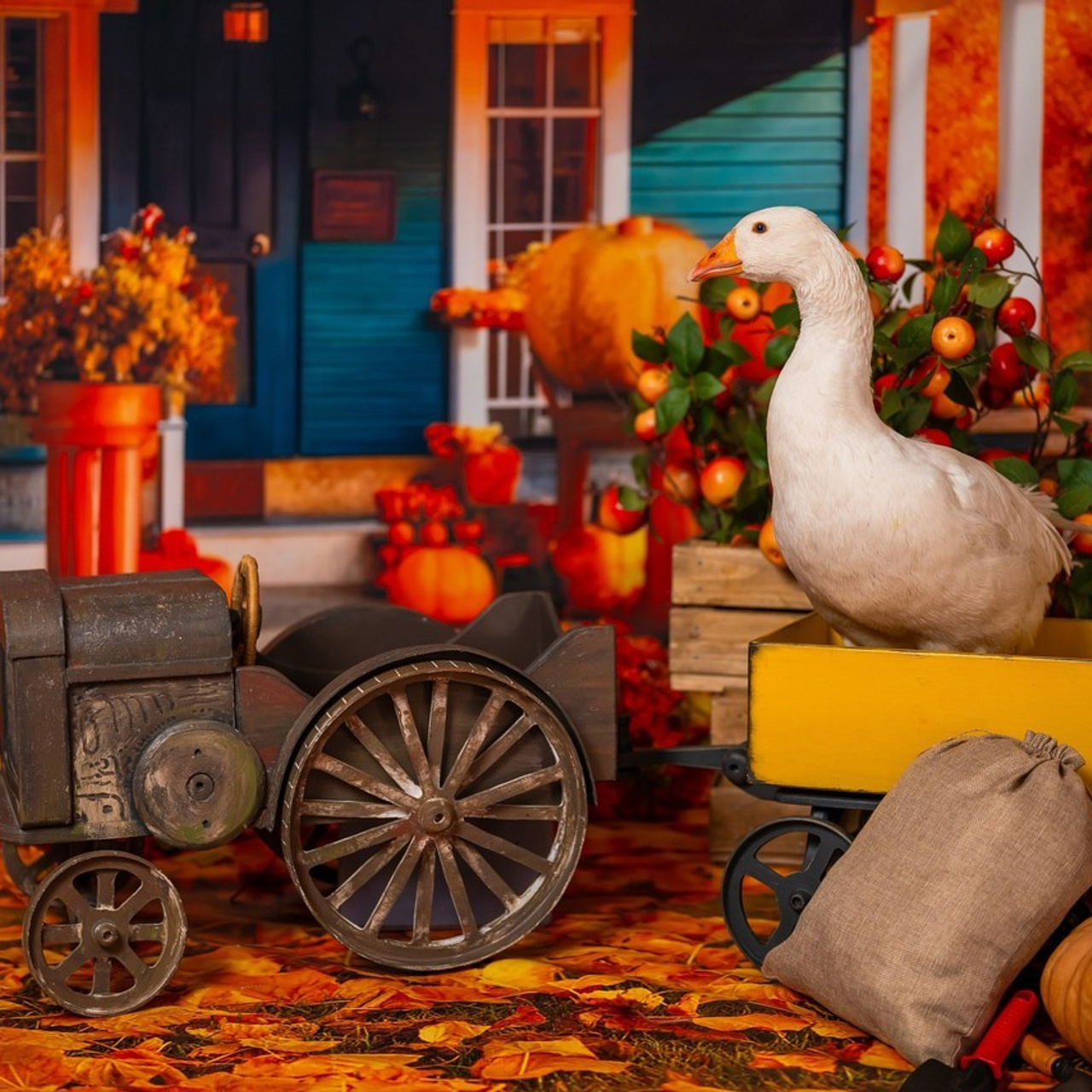 Отзывы. Детский и семейный фотограф в Краснодаре Анастасия Blumberry