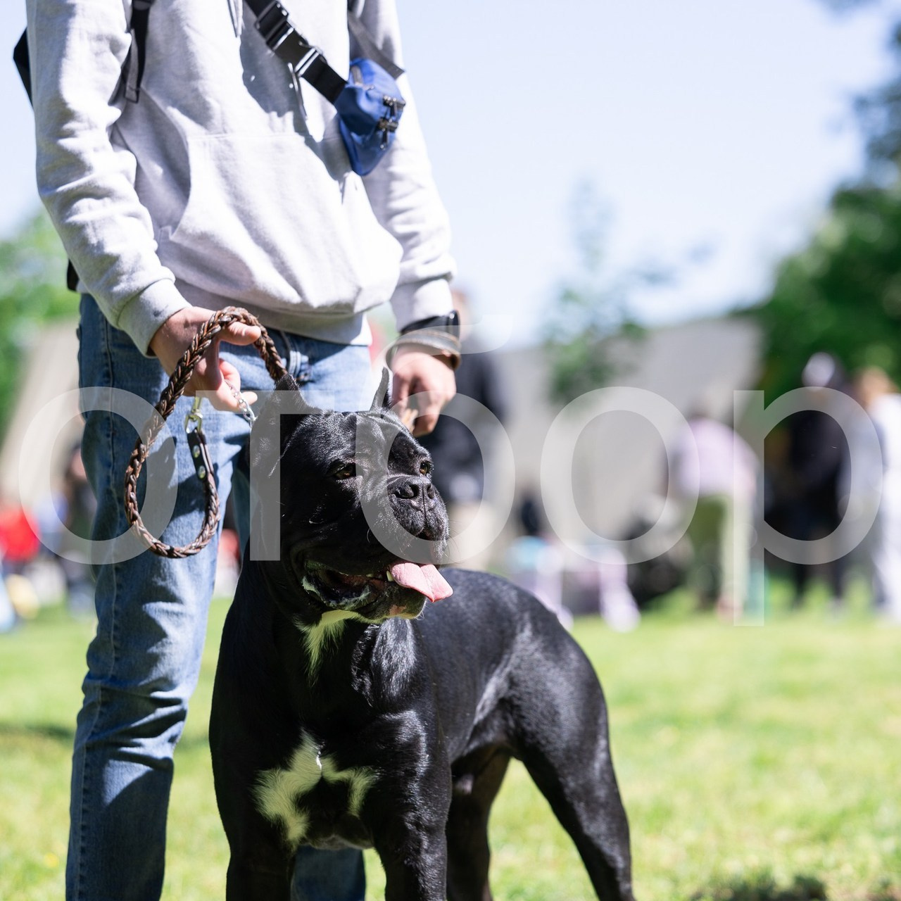 Отзывы. Yana Karamysheva Animal Photo