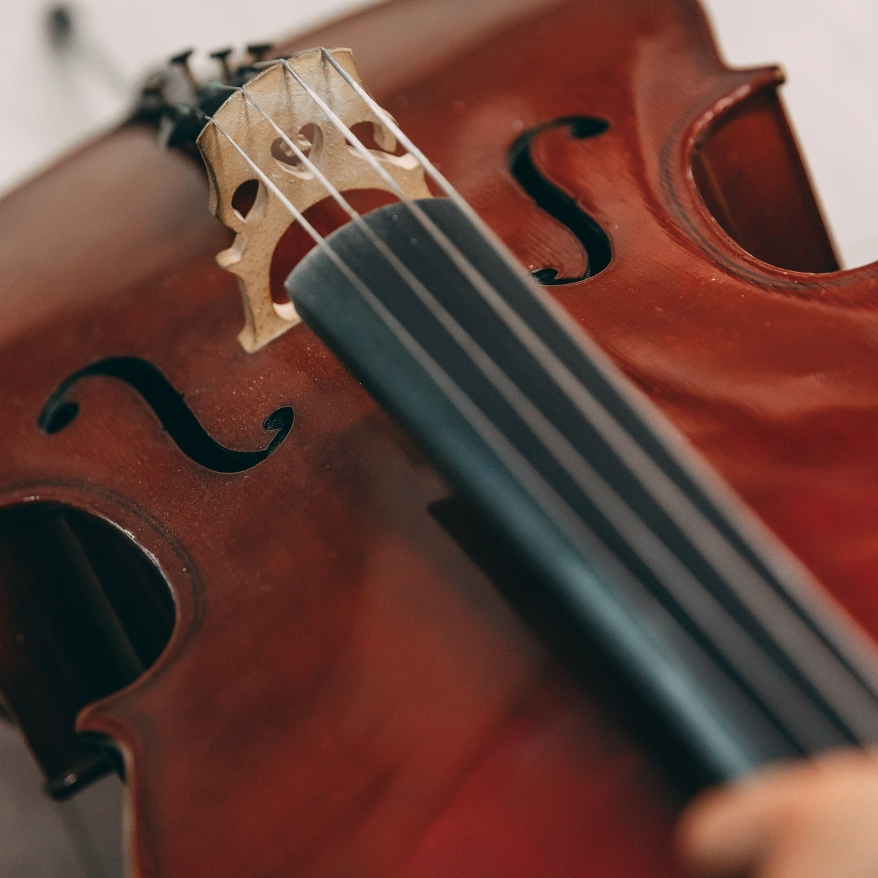 Отзывы. Семейный фотограф в Санкт-Петербурге Алиса Мохова