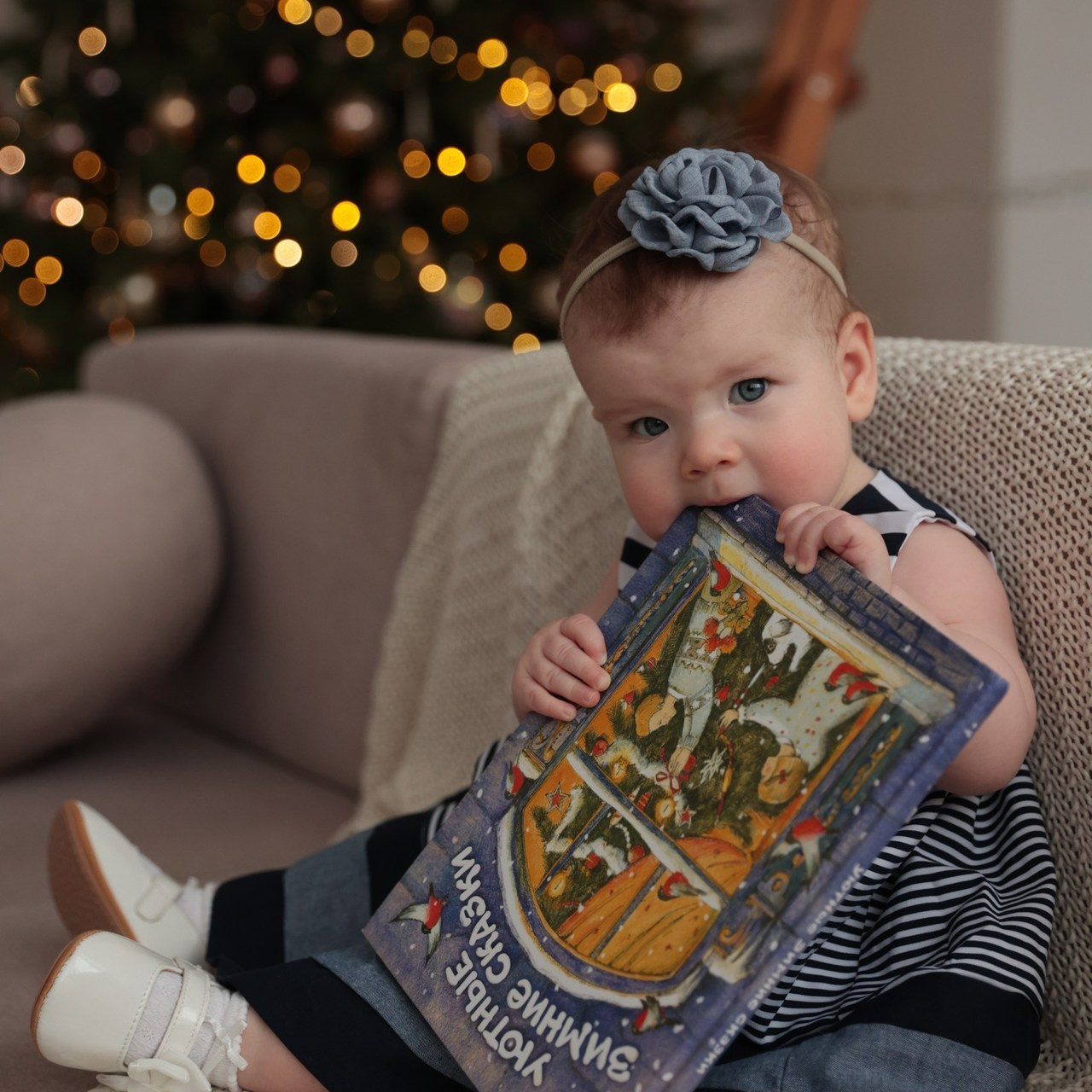 Отзывы. Семейный фотограф в Санкт-Петербурге Алиса Мохова