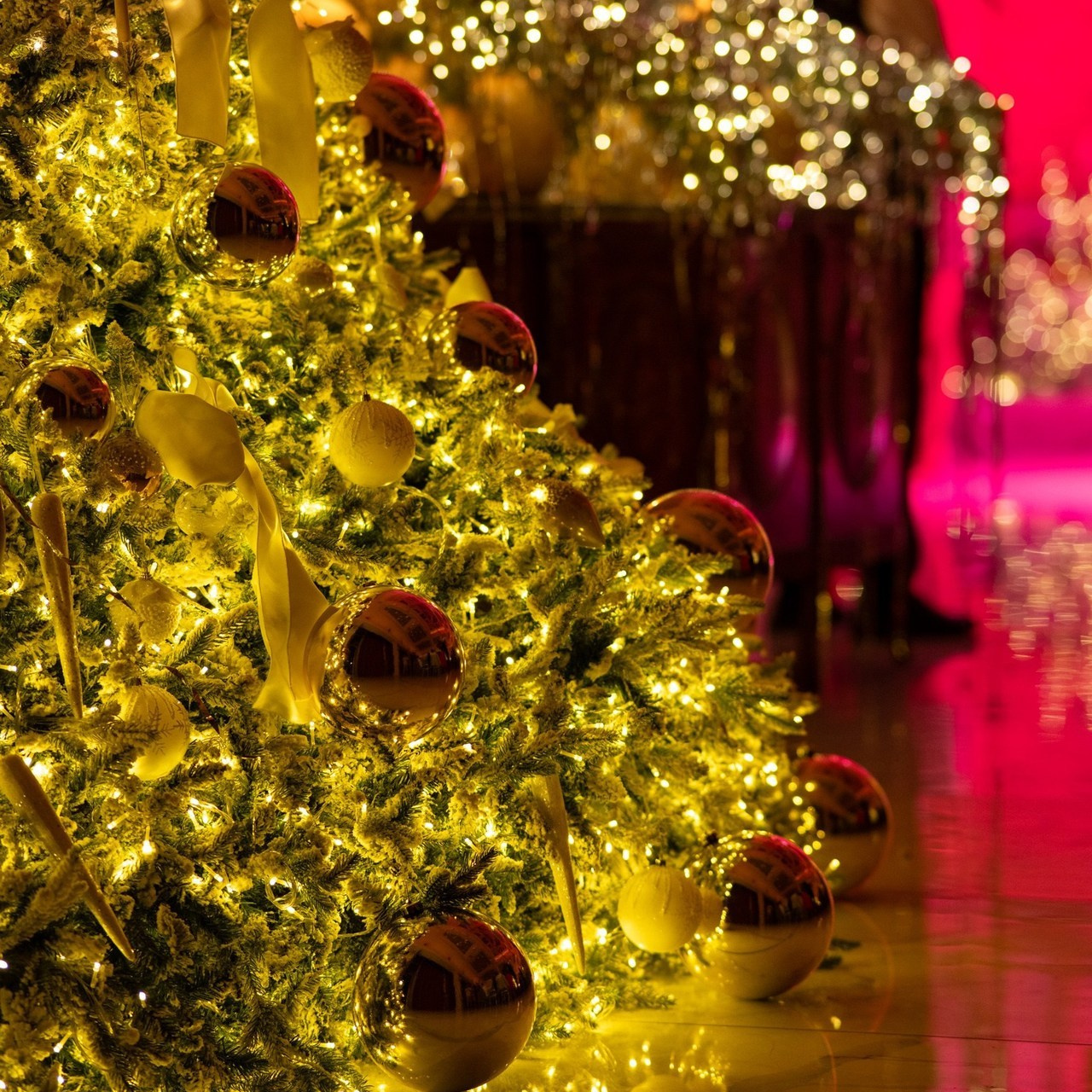 Отзывы. Свадебный и репортажный фотограф Грузия