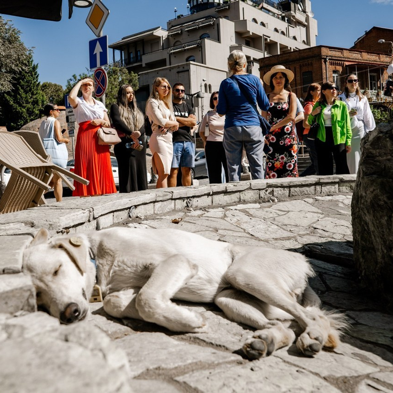Отзывы. Свадебный и репортажный фотограф Грузия