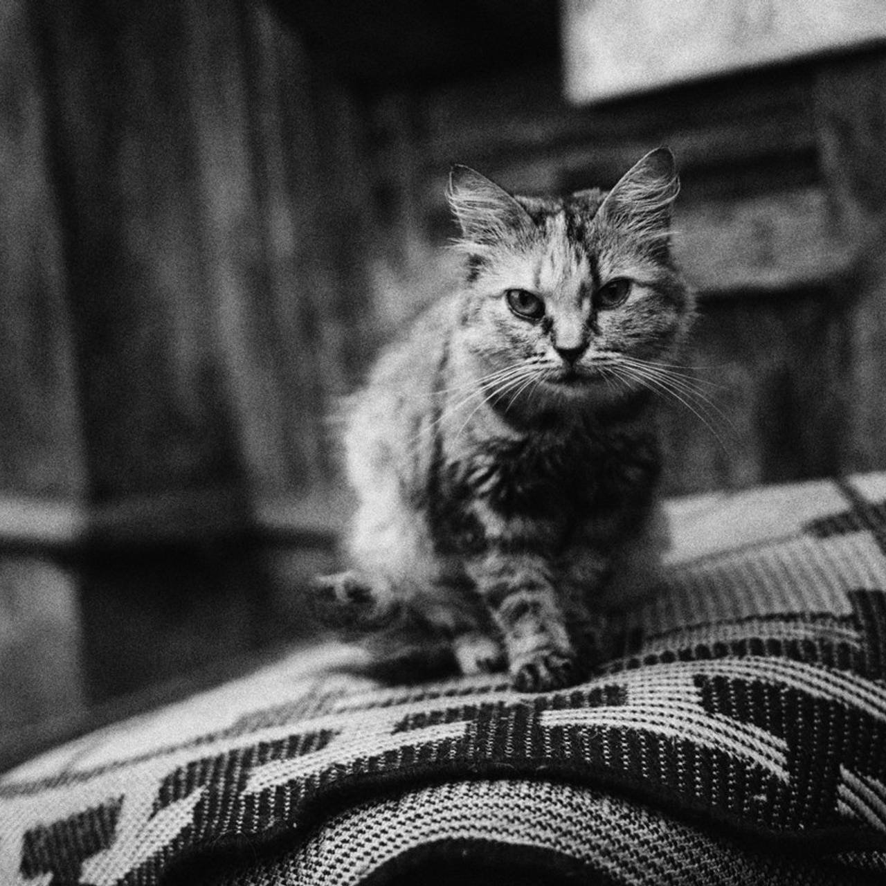 Отзывы. May the numbers guide us