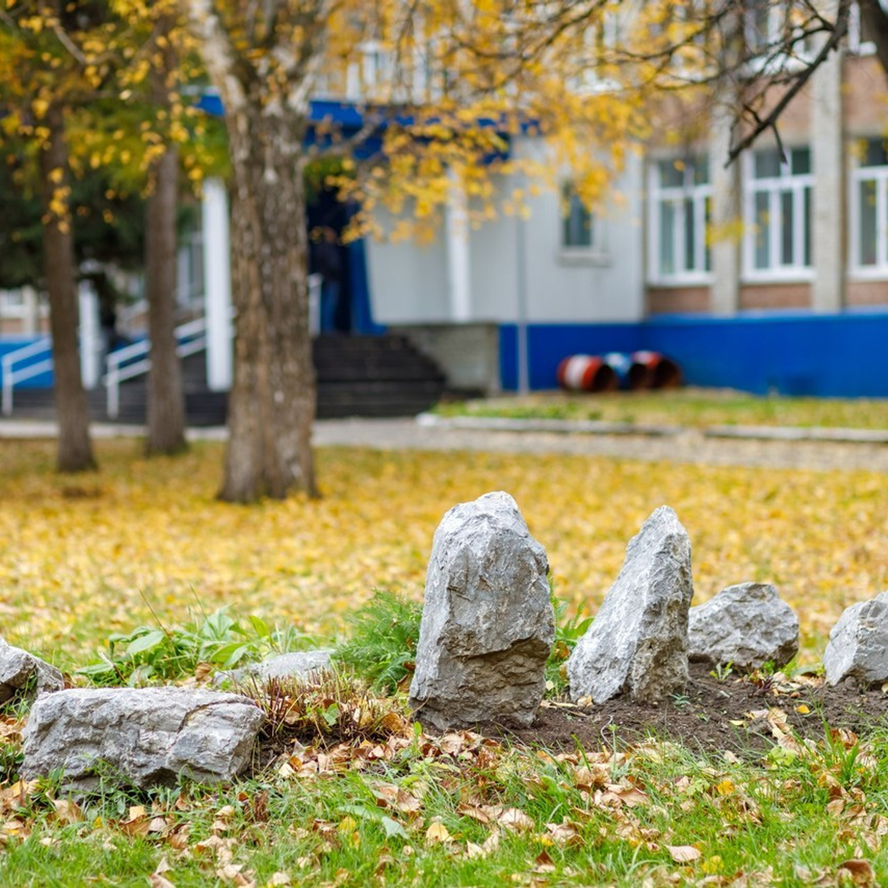 Отзывы. Детский фотограф в Барнауле Ирина Шевчук