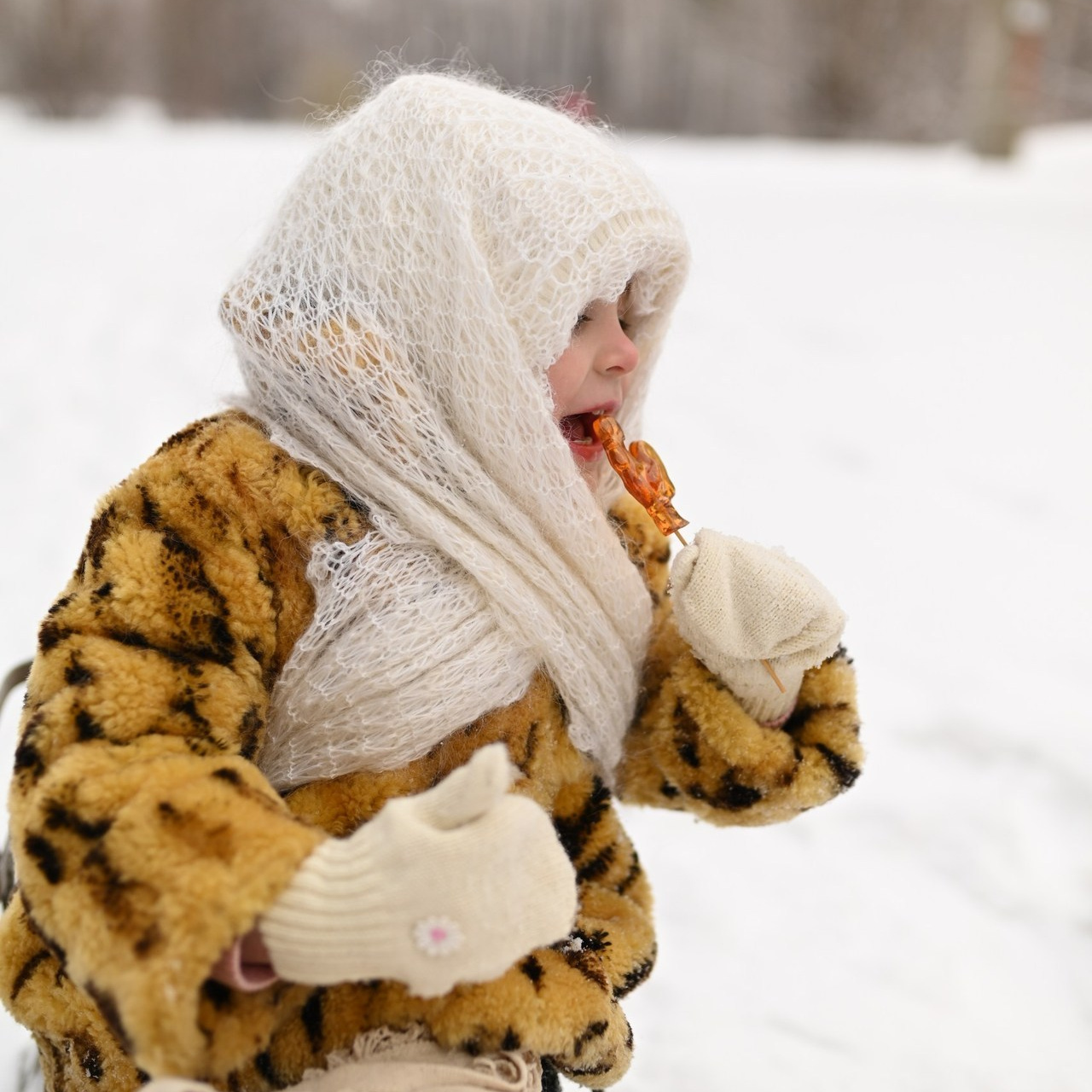 Добрые слова. Ваш семейный фотограф в Красноярске