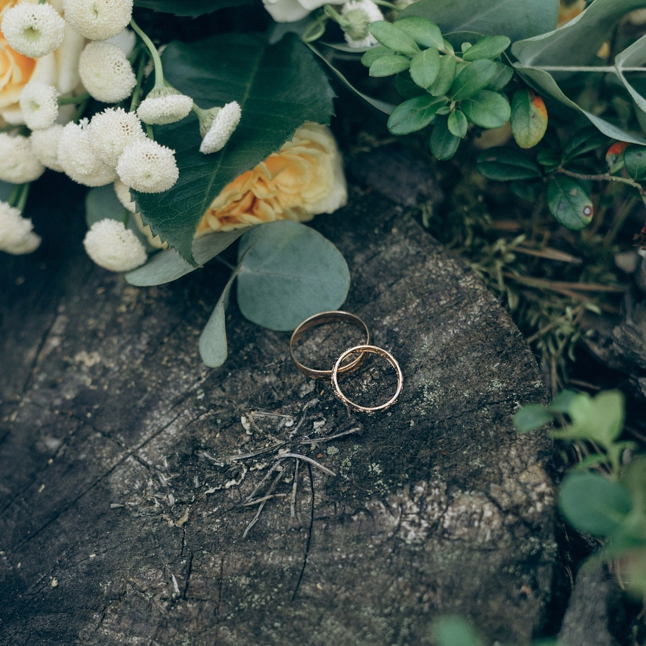 ОТЗЫВЫ. Юлия Лепилина, фотограф Онега Северодвинск Архангельск