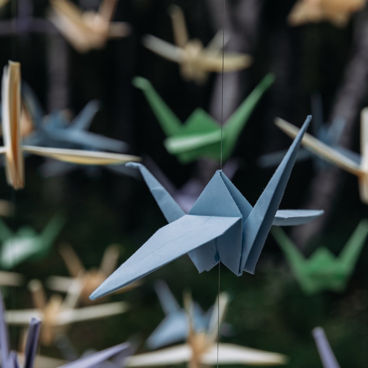 Отзывы. Свадебный, love-story и семейный фотограф в Томске Радий Ринатович