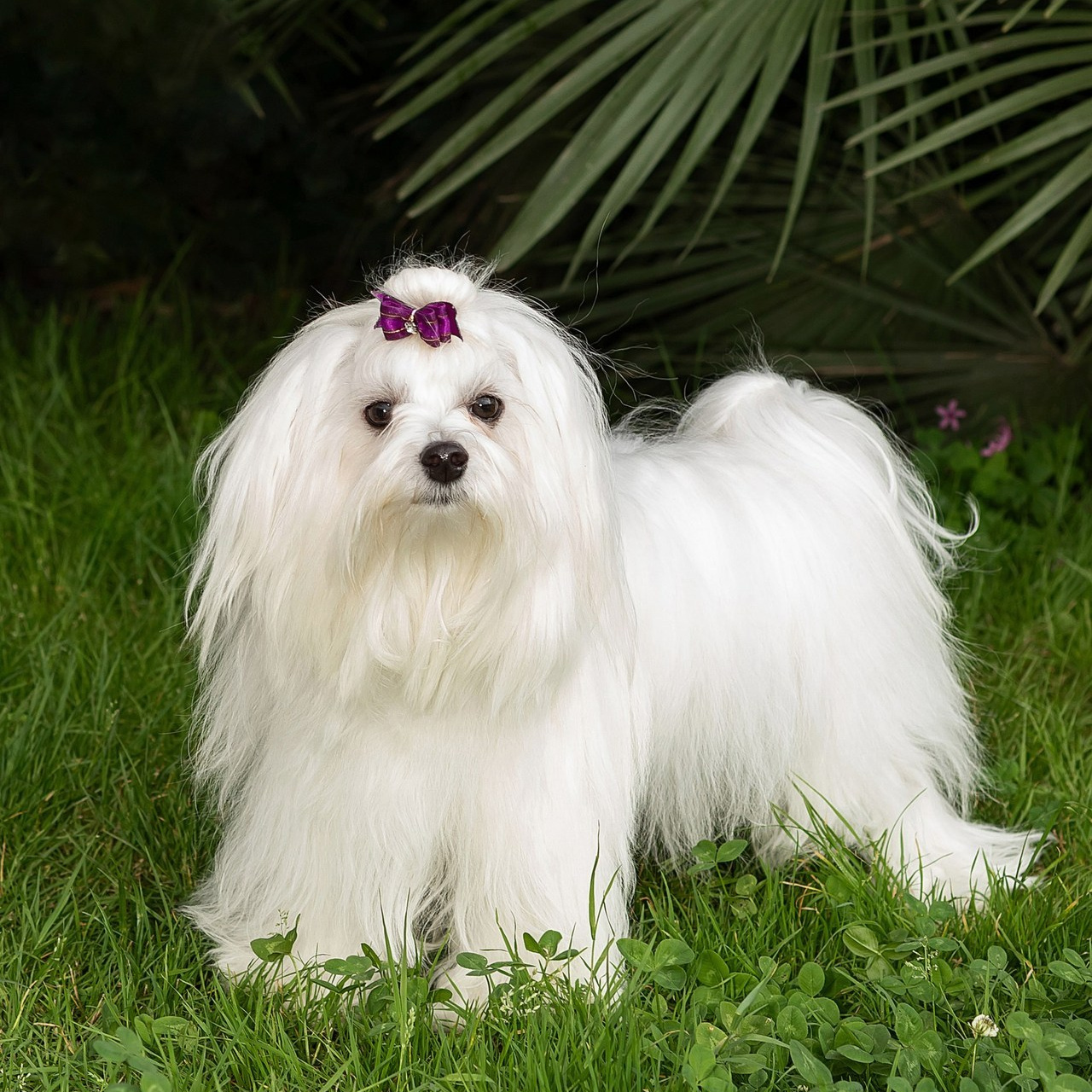 Отзывы. Фотограф в Сочи Татьяна Ларионова