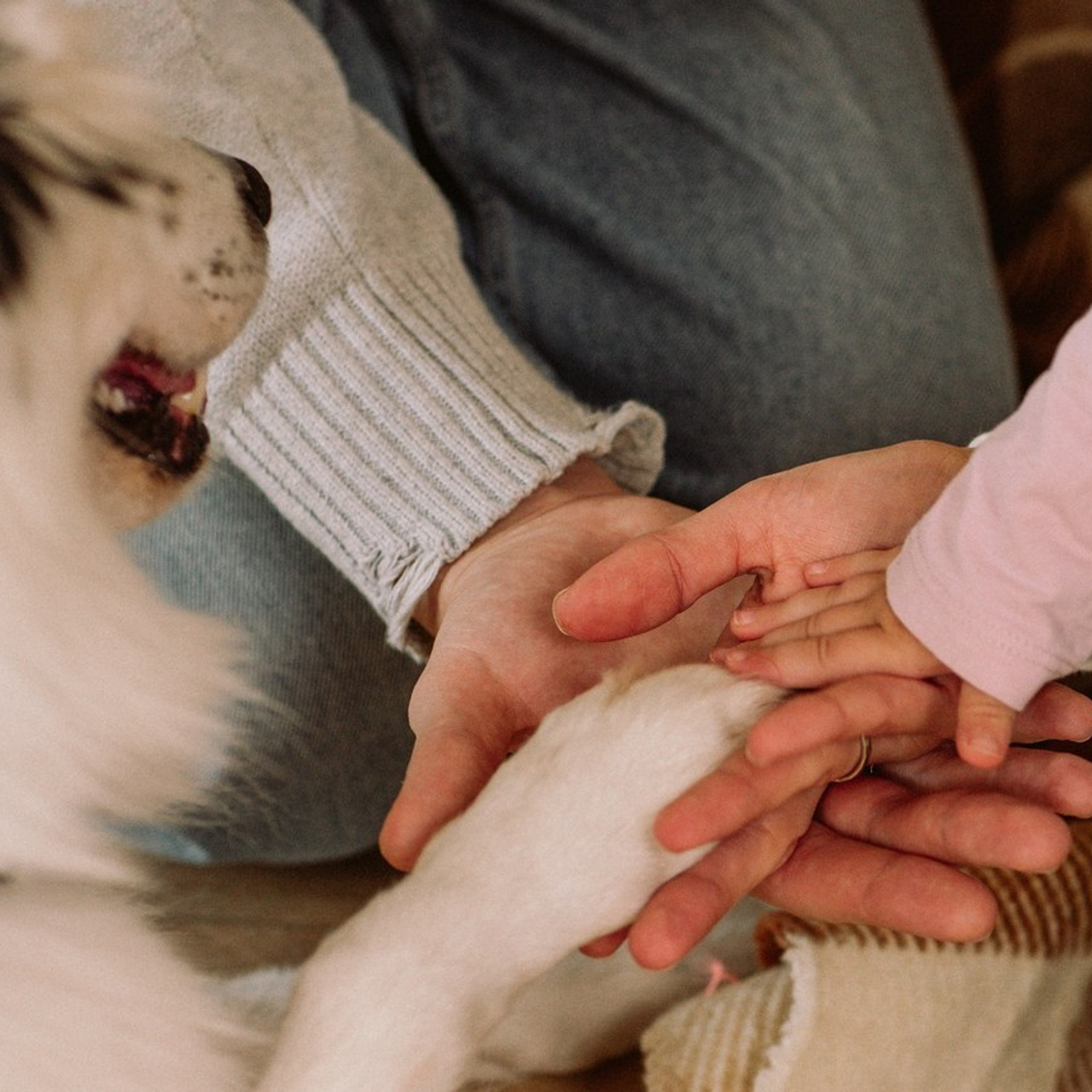 Отзывы. Детский семейный фотограф в Севастополе Крыму