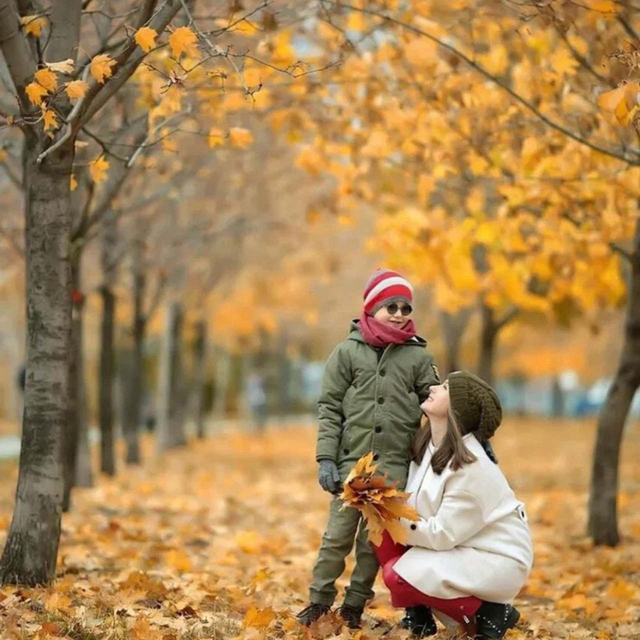Школьные фотопроекты