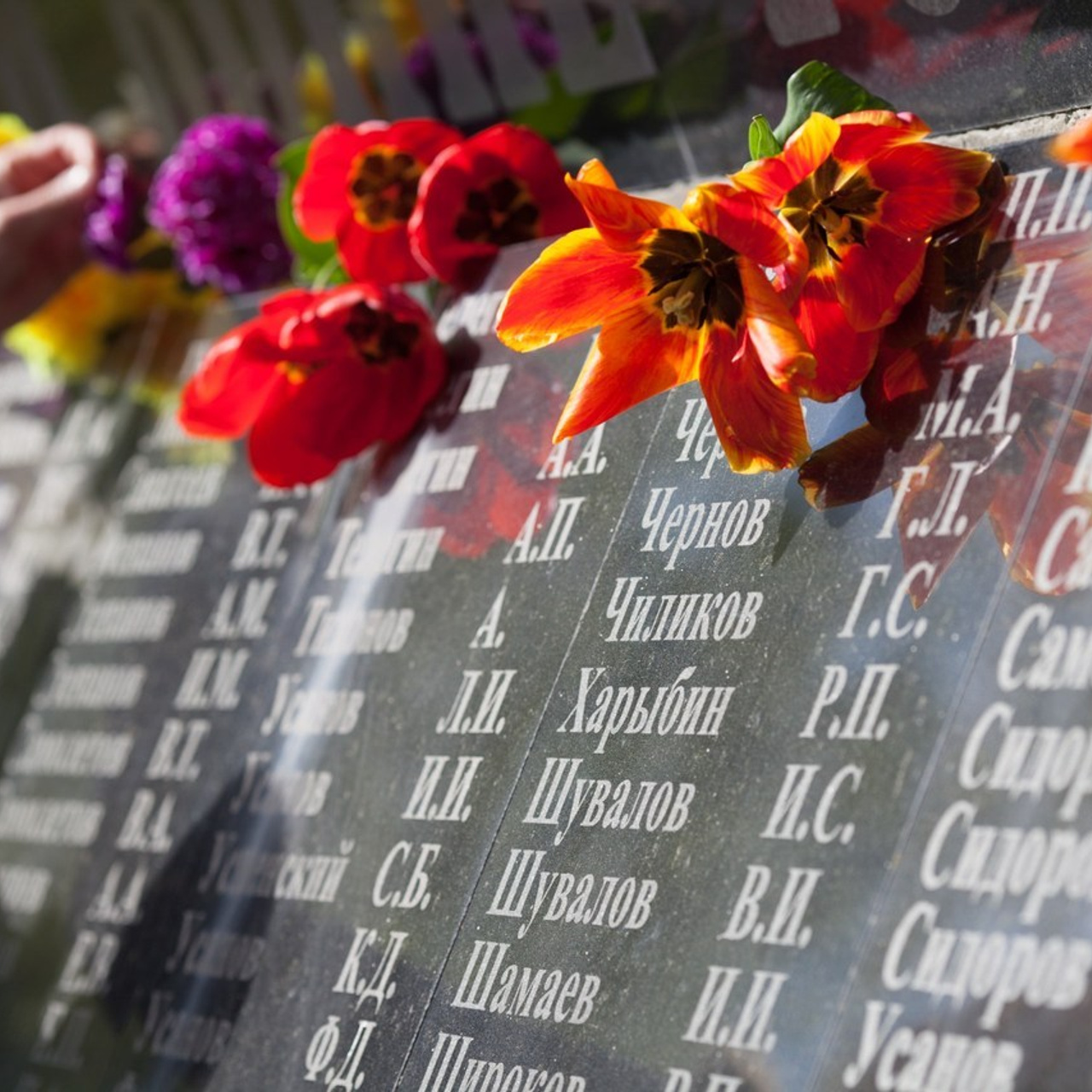 Отзывы. Фотограф Екатерина Рубаненко. Москва и МО