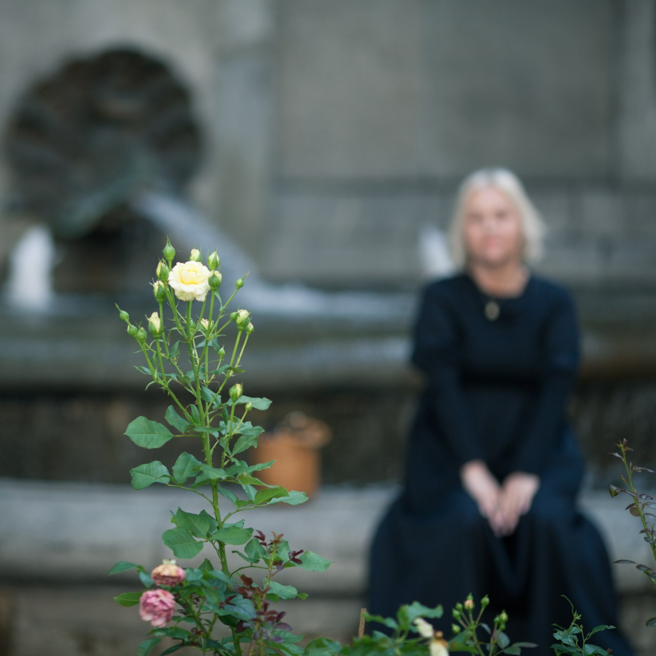 Отзывы. Фотограф Екатерина Рубаненко. Москва и МО