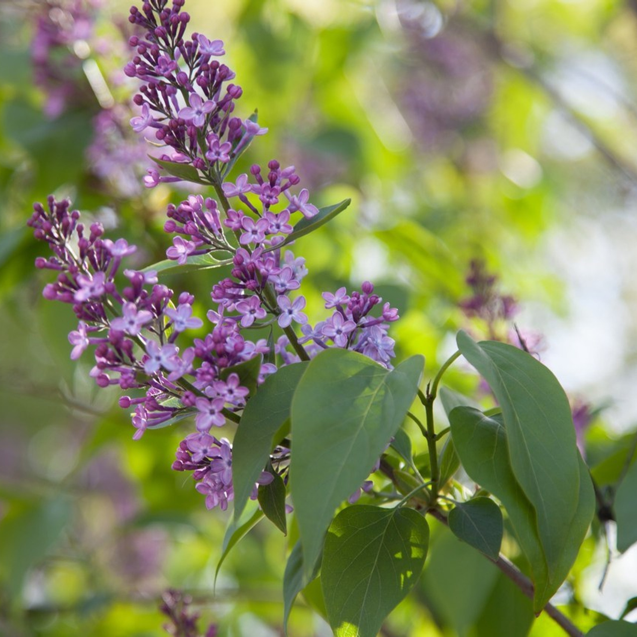 Отзывы. Фотограф Екатерина Рубаненко. Москва и МО