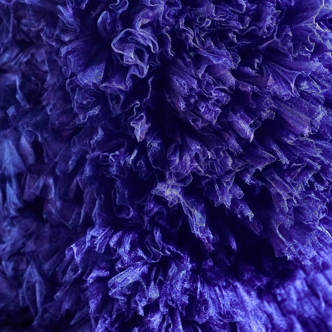 Репортажей фотограф