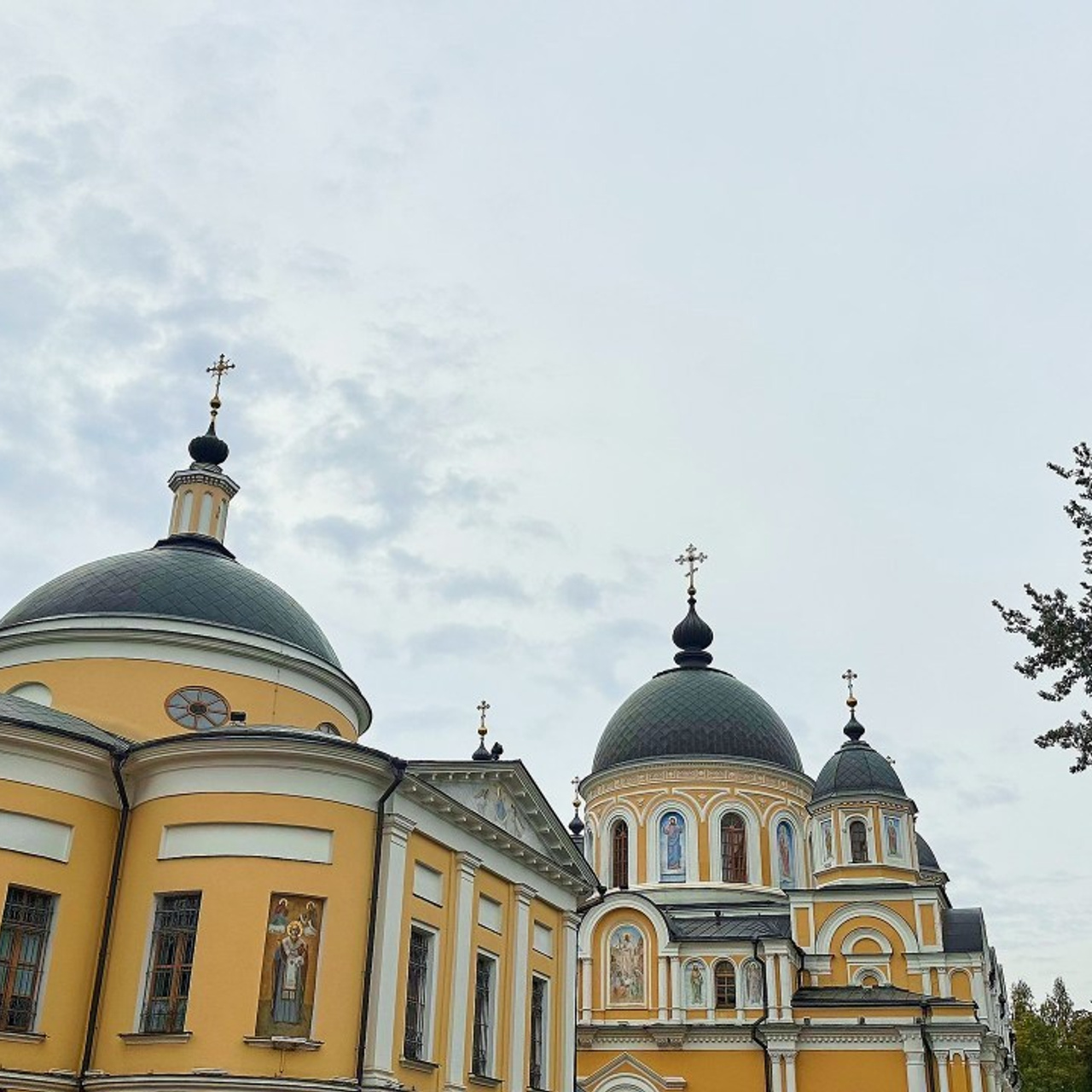 Отзывы. Фотограф Вика Винваг. Москва