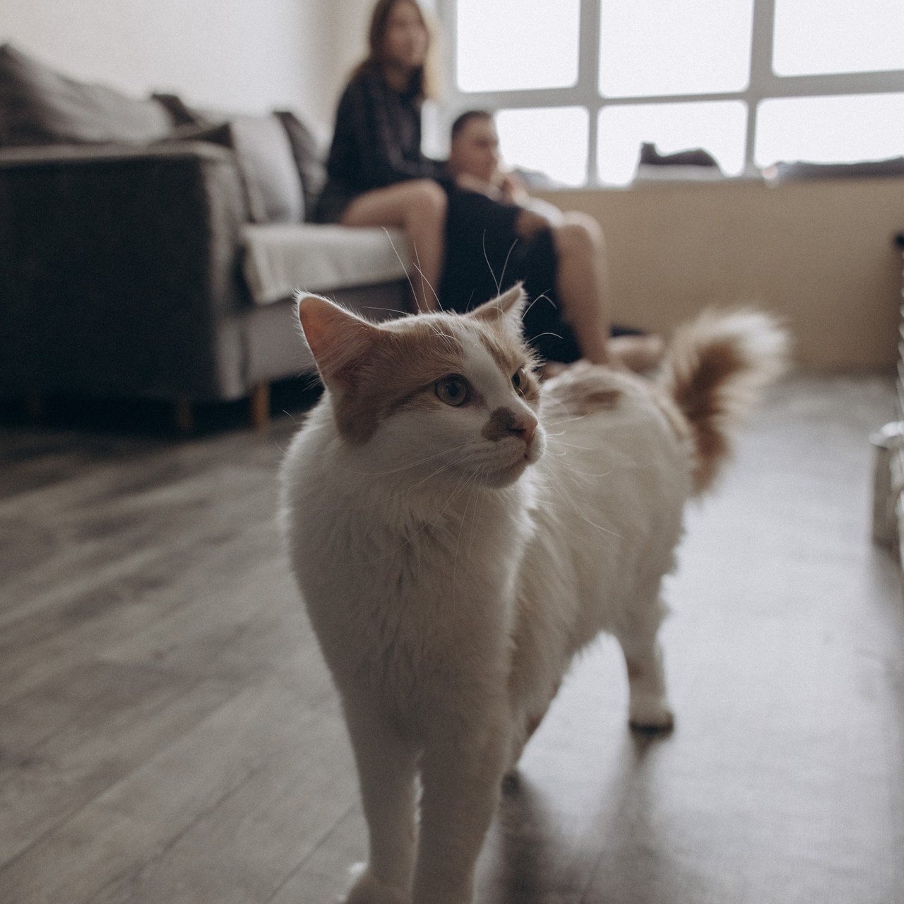 Семейный фотограф в Санкт-Петербурге Екатерина Васильева