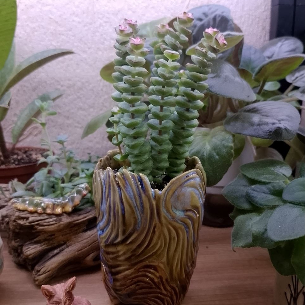 Отзывы. ARGILLA CERAMICS