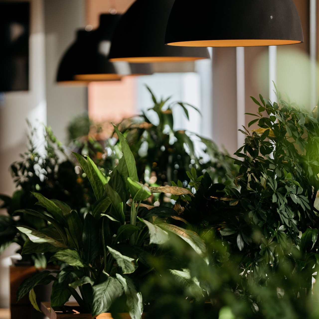 Отзывы. Natalyandronova.ru