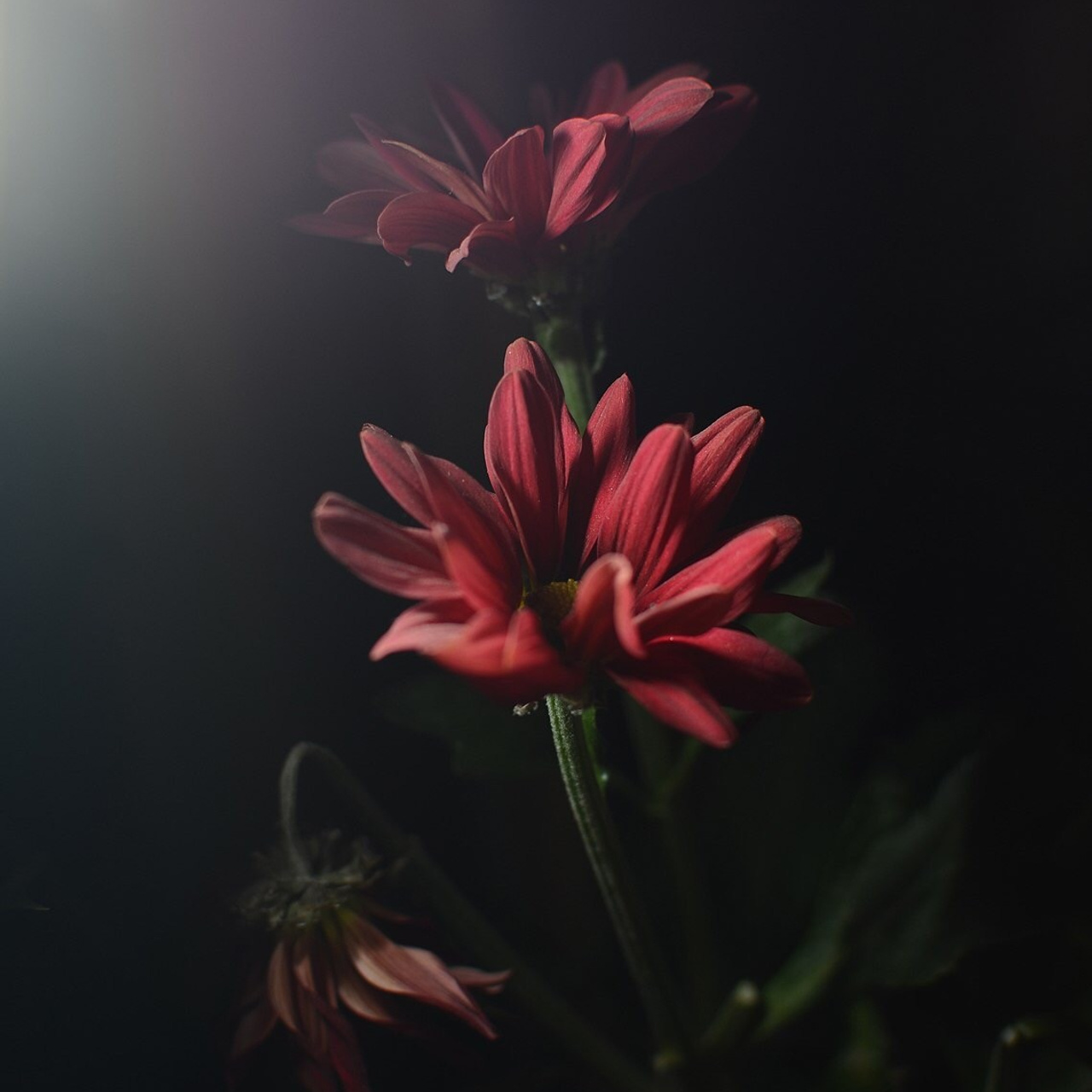 АРТ. Фотограф Эктов Алексей