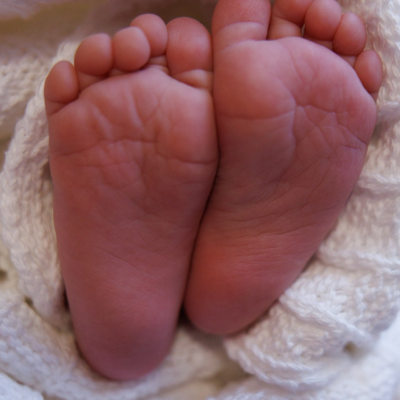 Отзывы. Привет! Я Мила, фотограф, свои сьемки провожу в СПБ, (п.Новоселье) (г.Кудрово)