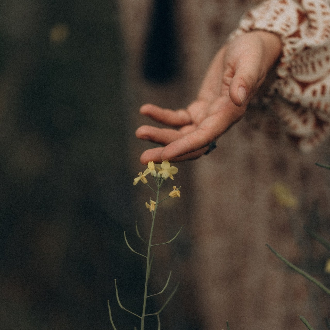Отзывы. Надежда Виховская — семейный фотограф в Астане