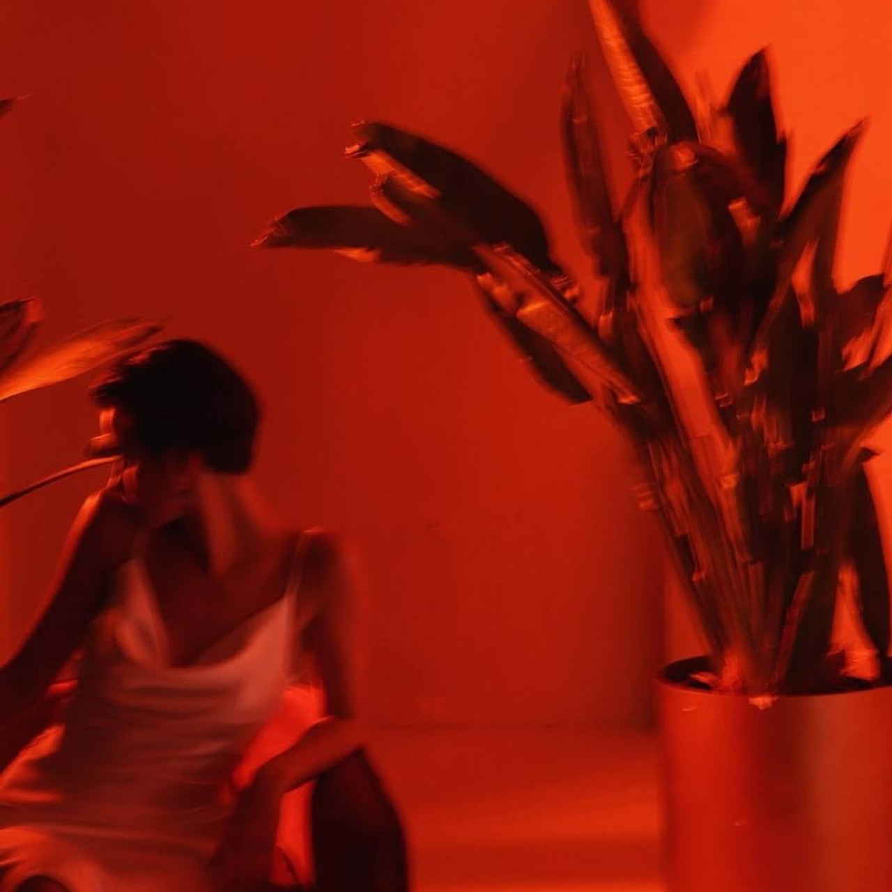 Индивидуальная съемка