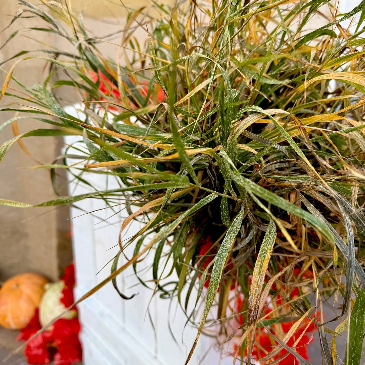 Отзывы. АРТИКУЛ. Выпускные альбомы Нижний Тагил