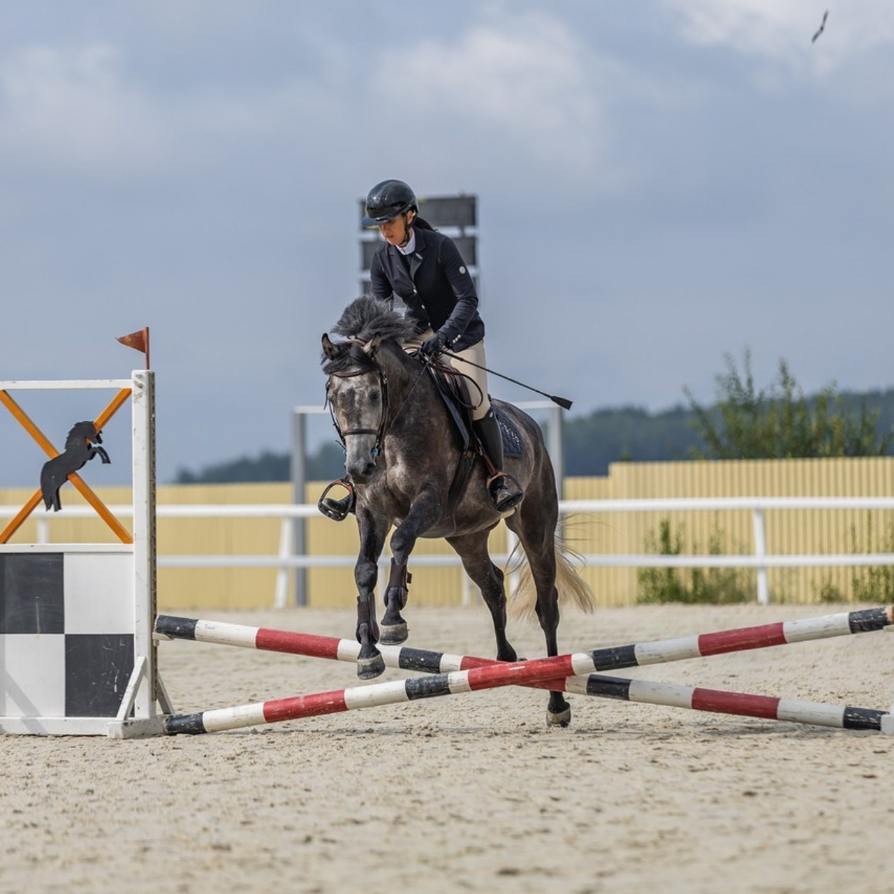 Отзывы. Фотограф Анималист Наталья Корс Екатеринбург