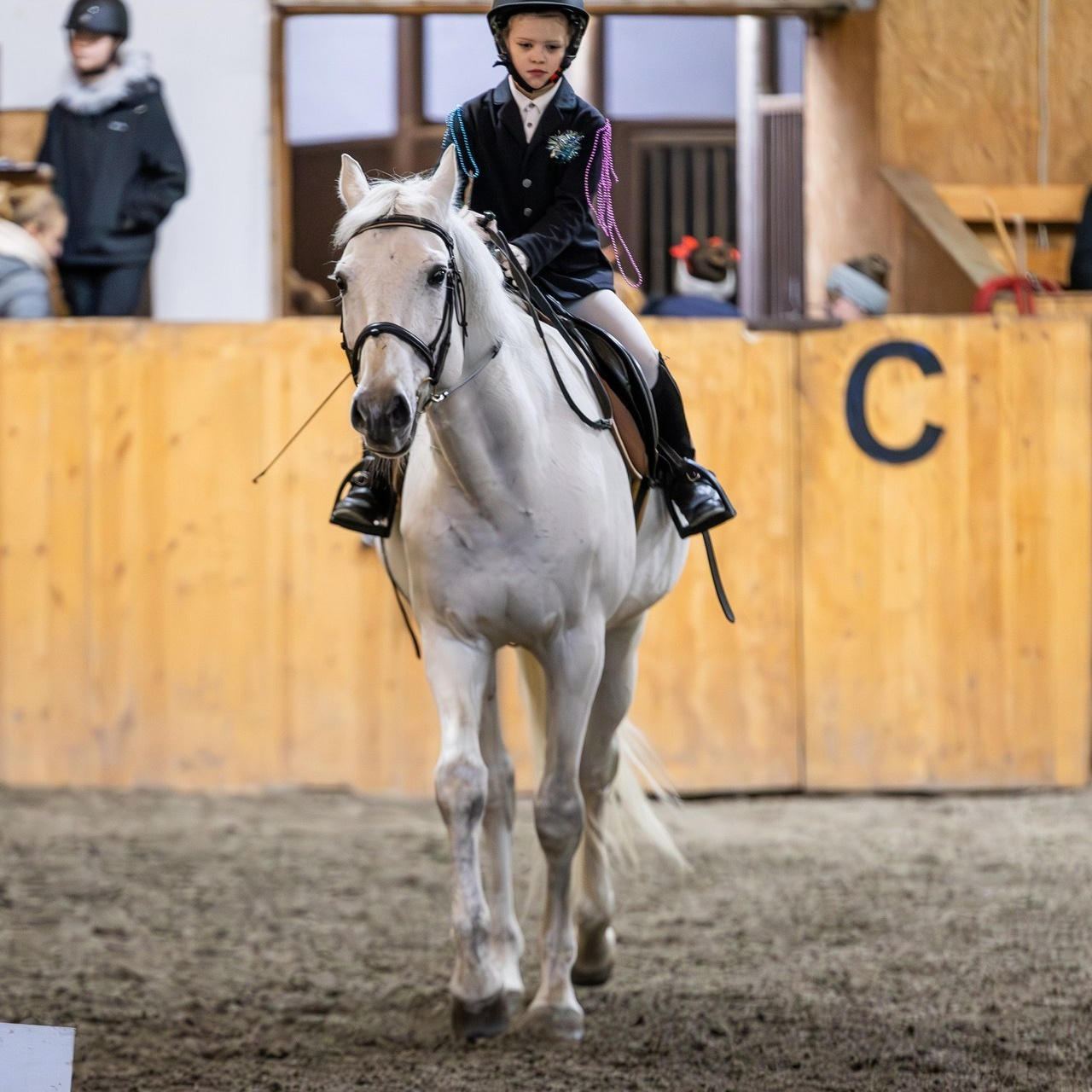 Отзывы. Фотограф Анималист Наталья Корс Екатеринбург