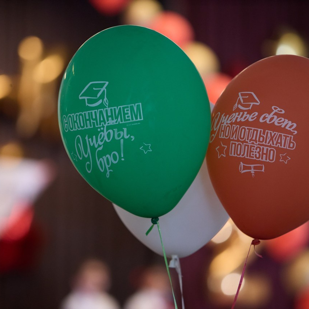 Отзывы. Фотограф и видеограф Лашманов Павел